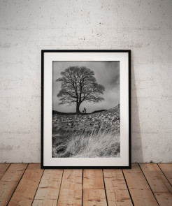 To buy a print or any of the below please click on the images